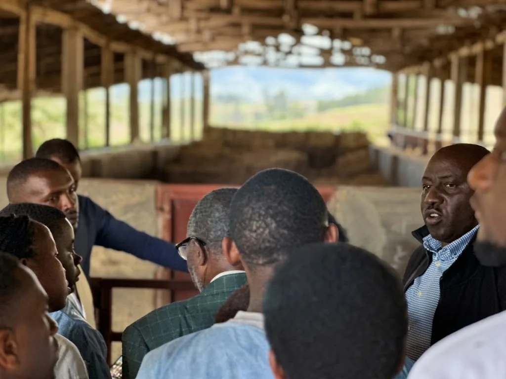 Visitors touring the livestock barn at Ingaju Farms