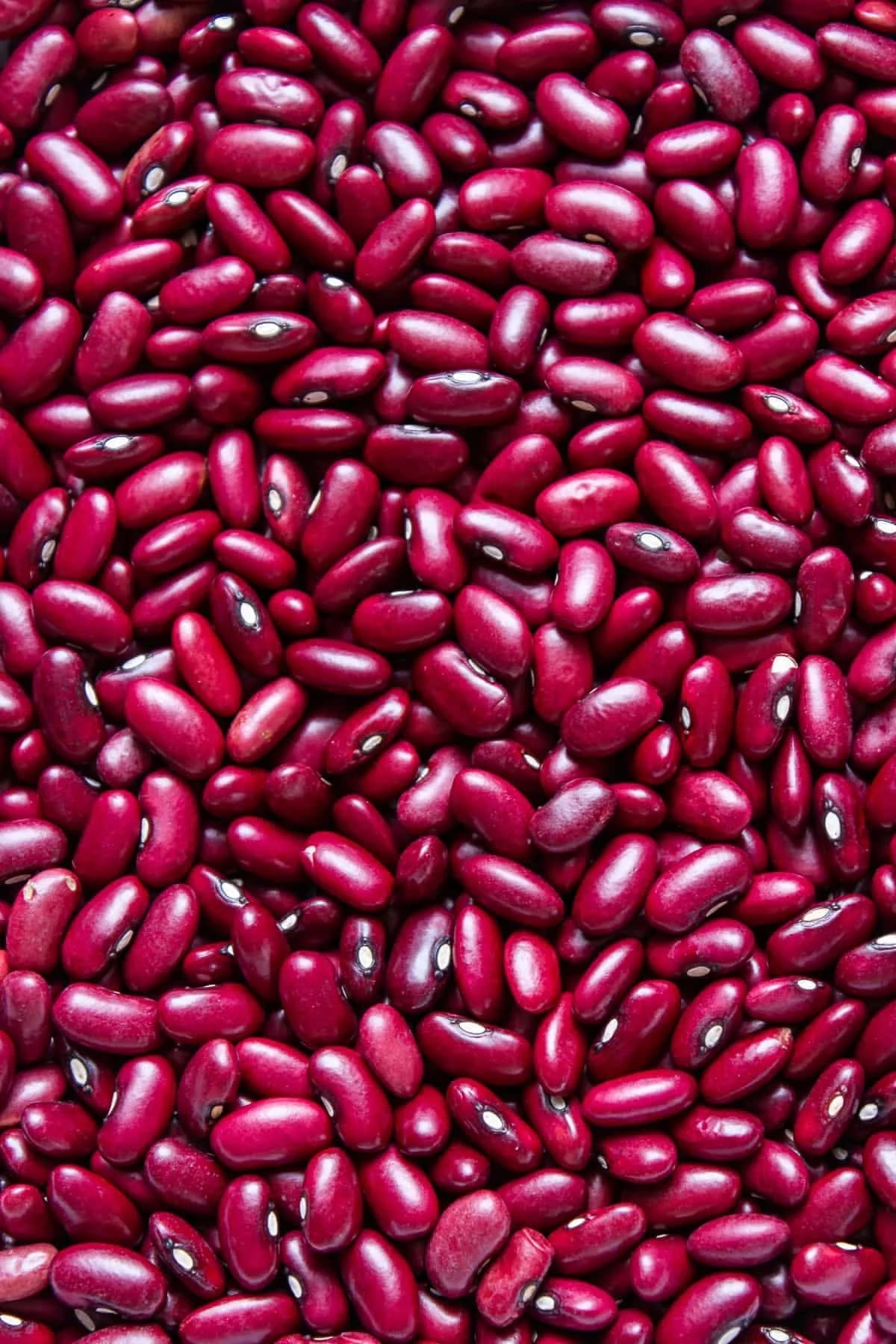 Fresh Beans