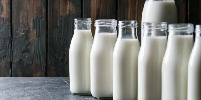 Fresh Milk