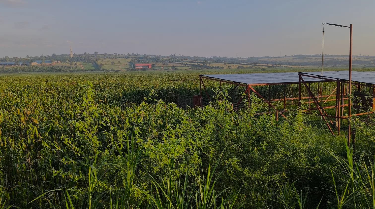 Farmer demonstrating climate-smart farming techniques